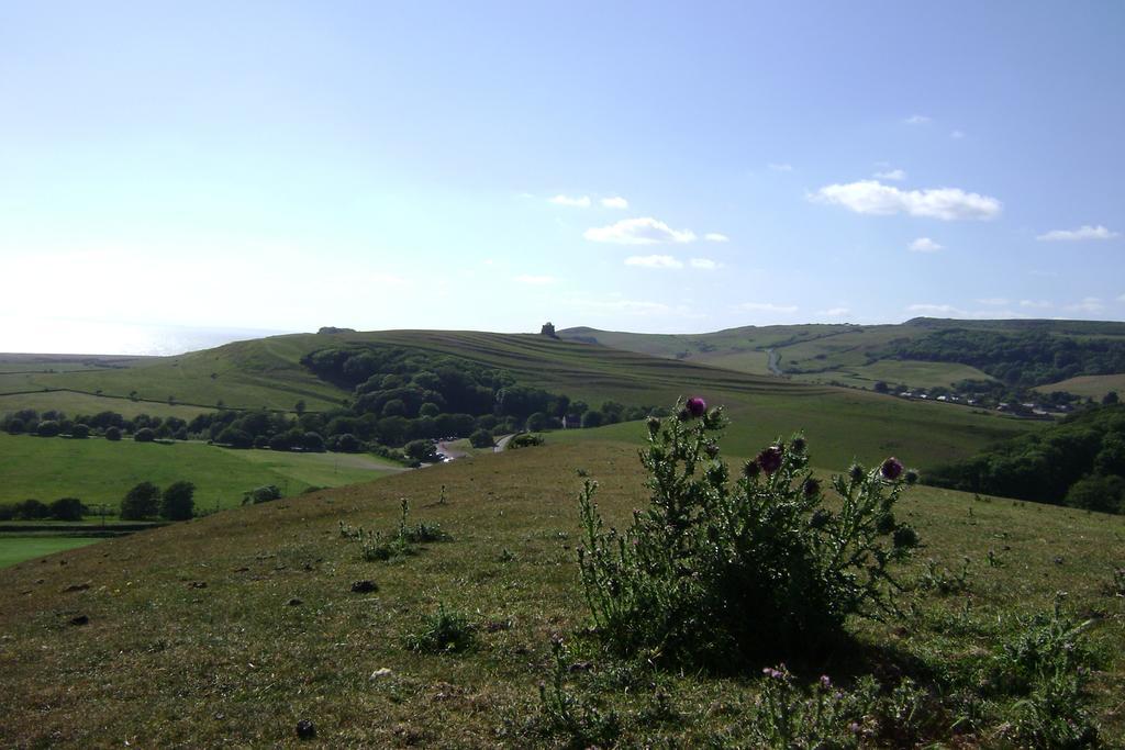 East Farm House B&B Abbotsbury Exterior foto