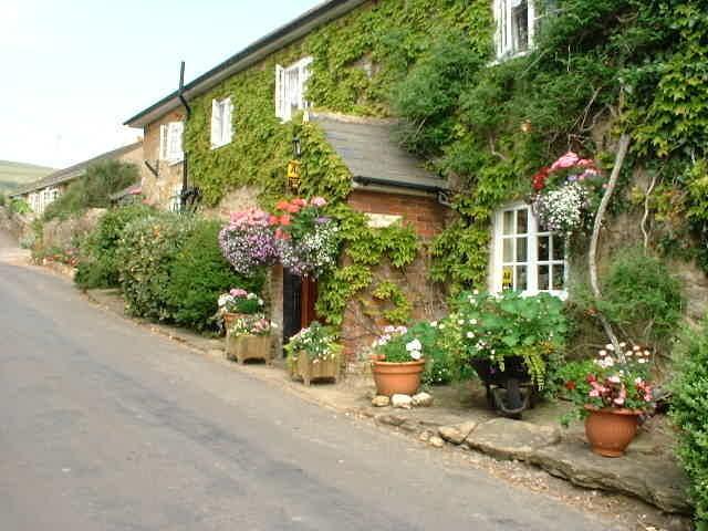 East Farm House B&B Abbotsbury Exterior foto